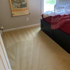 Carpet Steam Cleaning in Wexford, PA